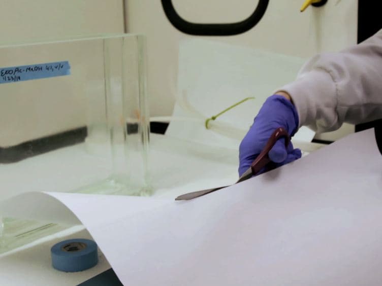 Thin-layer Chromatographic (TLC) Separations and Bioassays of Plant Extracts to Identify Antimicrobial Compounds