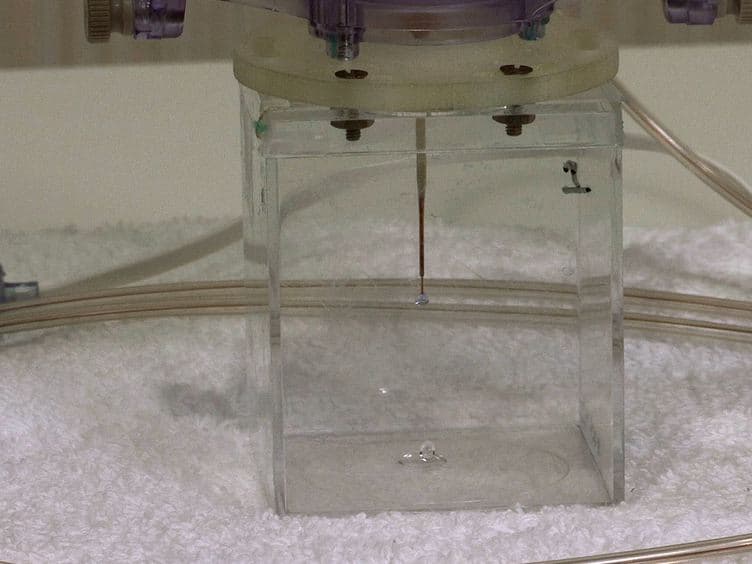 Image-guided Convection-enhanced Delivery into Agarose Gel Models of the Brain