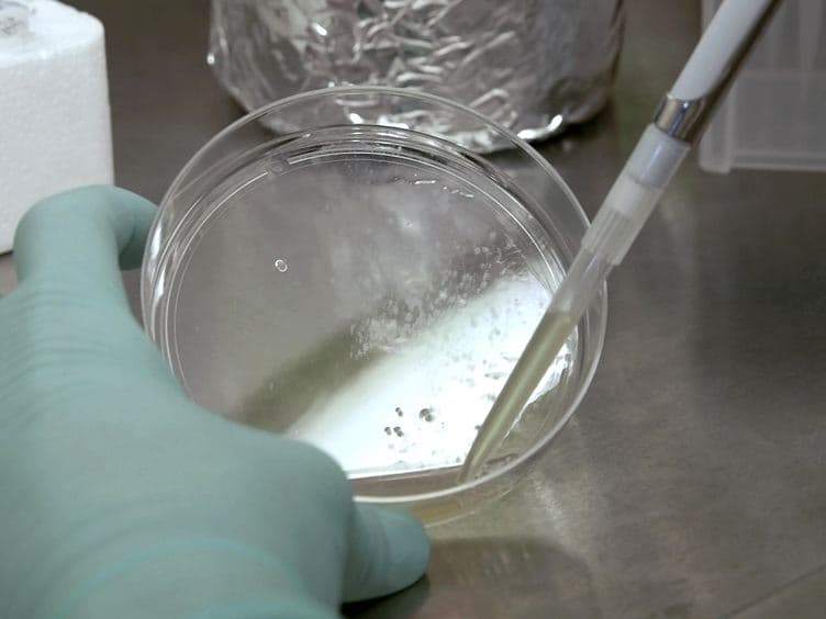 Feeder-free Derivation of Neural Crest Progenitor Cells from Human Pluripotent Stem Cells