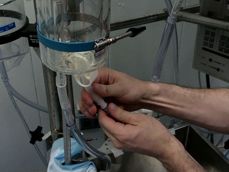 An Isolated Working Heart System for Large Animal Models