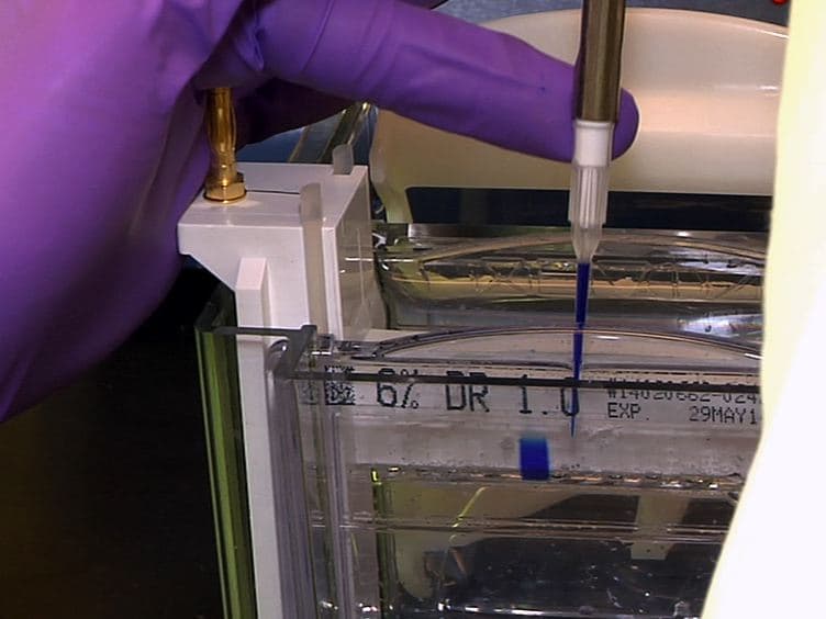 DNA-affinity-purified Chip (DAP-chip) Method to Determine Gene Targets for Bacterial Two component Regulatory Systems