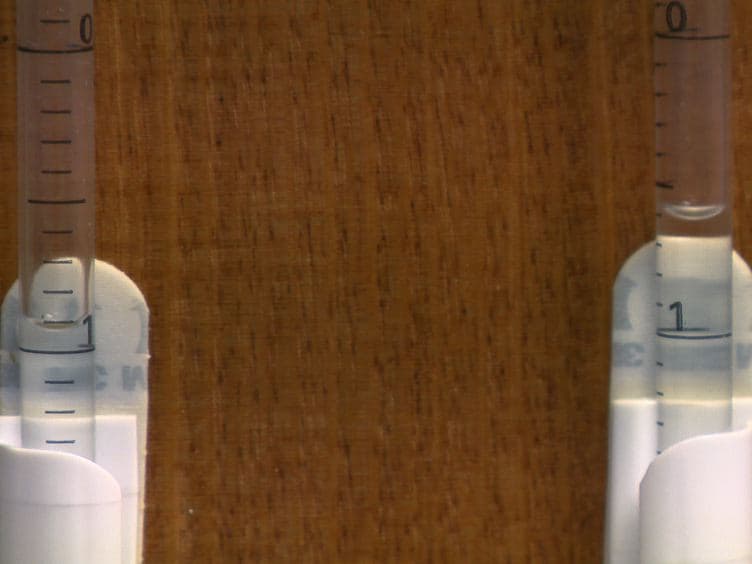Measuring Respiratory Function in Mice Using Unrestrained Whole-body Plethysmography