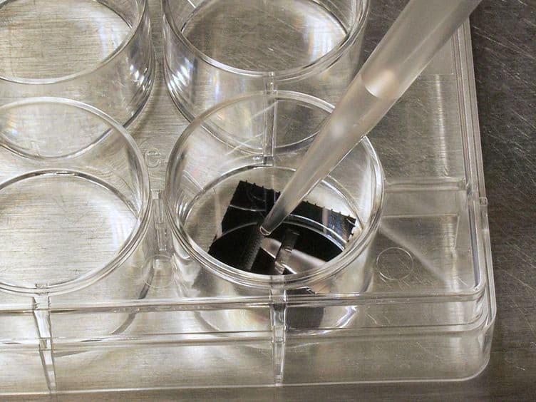 Utilization of Microscale Silicon Cantilevers to Assess Cellular Contractile Function In Vitro