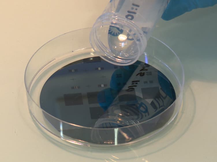 Ordering Single Cells and Single Embryos in 3D Confinement: A New Device for High Content Screening