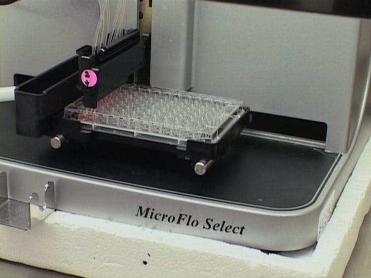 High-throughput Titration of Luciferase-expressing Recombinant Viruses