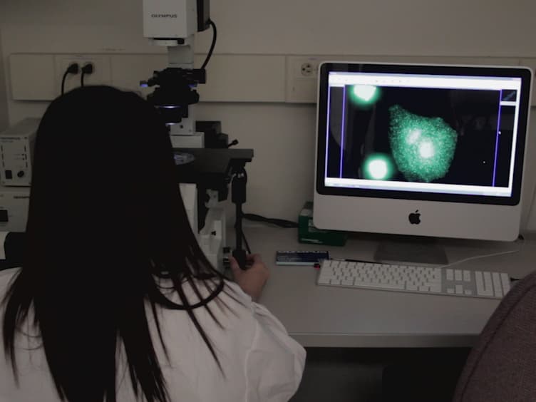 An <em>In Vitro</em> Model for the Study of Cellular Pathophysiology in Globoid Cell Leukodystrophy
