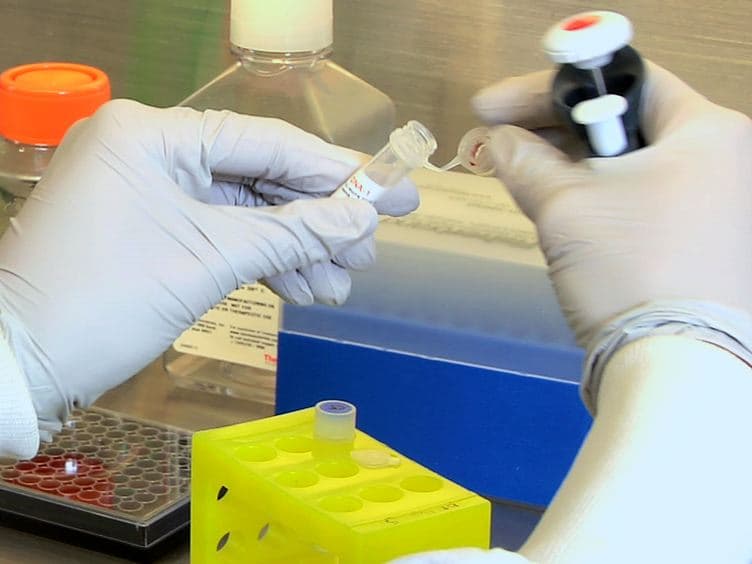 Real-time Cytotoxicity Assays in Human Whole Blood
