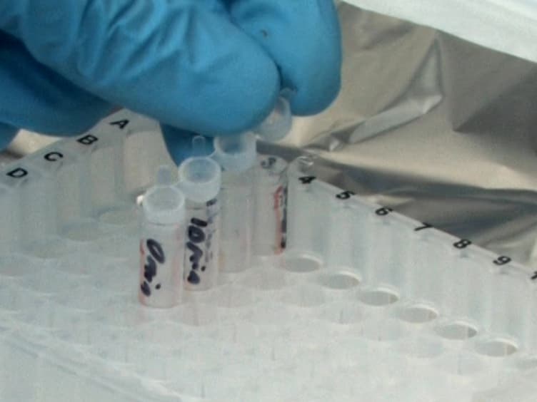 Image-based Flow Cytometry Technique to Evaluate Changes in Granulocyte Function In Vitro