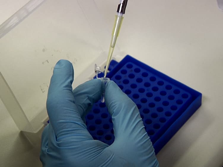 Generation of Plasmid Vectors Expressing FLAG-tagged Proteins Under the Regulation of Human Elongation Factor-1α Promoter Using Gibson Assembly