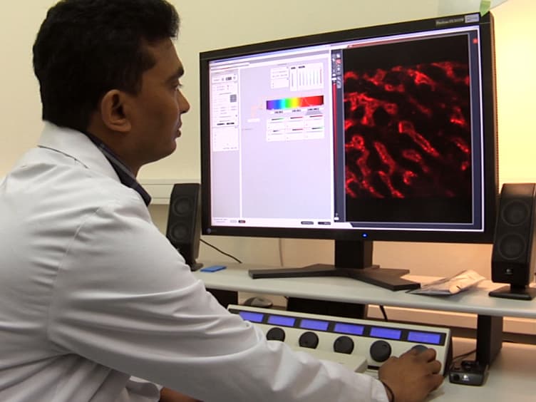 Intravital Microscopy Imaging of the Liver following Leishmania Infection: An Assessment of Hepatic Hemodynamics