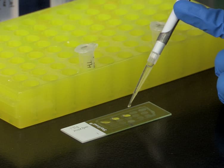 Laser Capture Microdissection - A Demonstration of the Isolation of Individual Dopamine Neurons and the Entire Ventral Tegmental Area