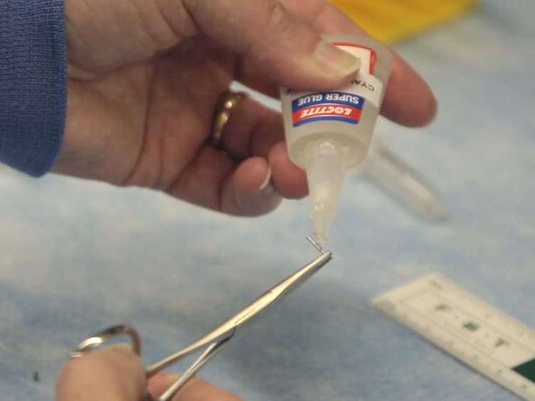 A Simple Critical-sized Femoral Defect Model in Mice