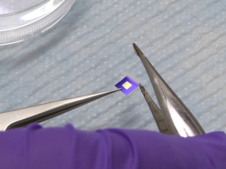 Preparing Adherent Cells for X-ray Fluorescence Imaging by Chemical Fixation