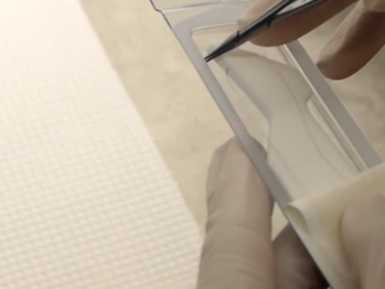 A Surgical Procedure for Resecting the Mouse Rib: A Model for Large-Scale Long Bone Repair