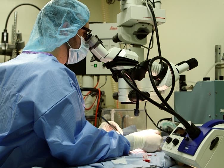 Rat Heterotopic Abdominal Heart/Single-lung Transplantation in a Volume-loaded Configuration