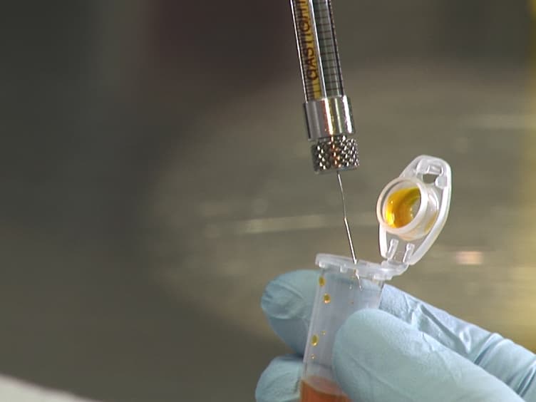 Using Adeno-associated Virus as a Tool to Study Retinal Barriers in Disease