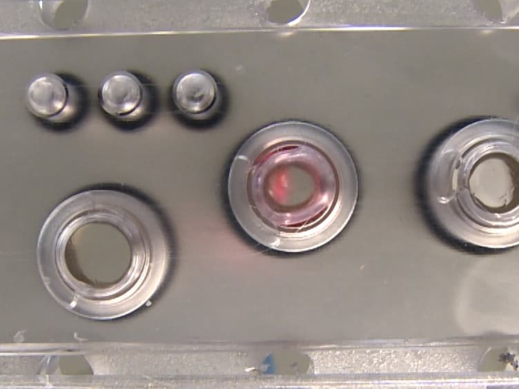The Multi-organ Chip - A Microfluidic Platform for Long-term Multi-tissue Coculture