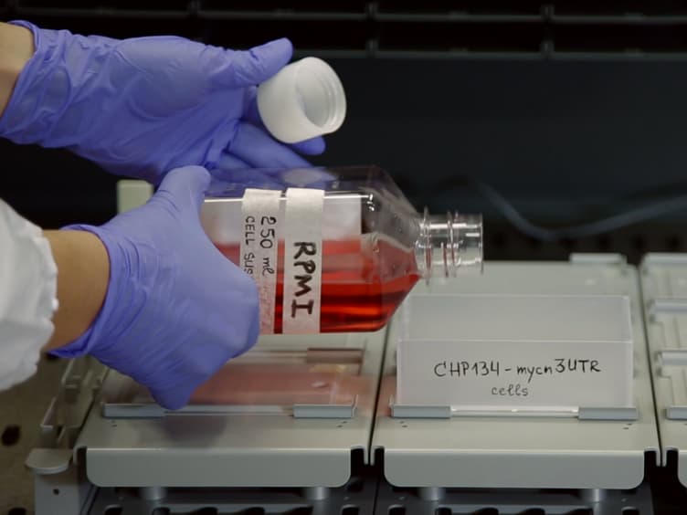High-throughput Screening for Chemical Modulators of Post-transcriptionally Regulated Genes