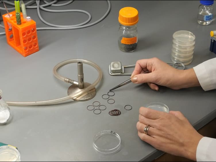 An Assay for Measuring the Effects of Ethanol on the Locomotion Speed of <em>Caenorhabditis elegans</em>
