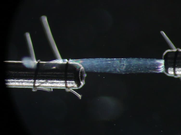 Measurement of Maximum Isometric Force Generated by Permeabilized Skeletal Muscle Fibers