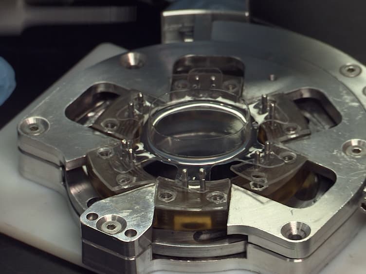 Live Cell Imaging during Mechanical Stretch