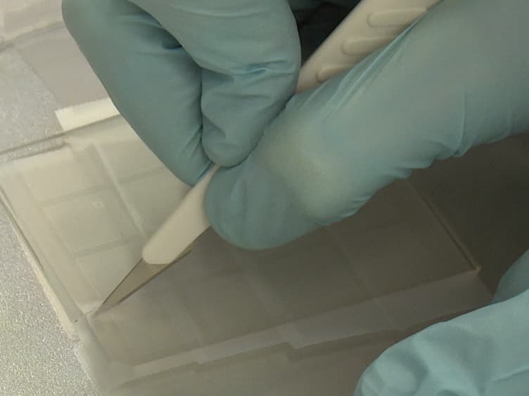 Agarose Microchambers for Long-term Calcium Imaging of <em>Caenorhabditis elegans</em>