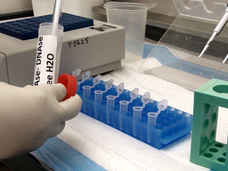 Isolation of Murine Peritoneal Macrophages to Carry Out Gene Expression Analysis Upon Toll-like Receptors Stimulation