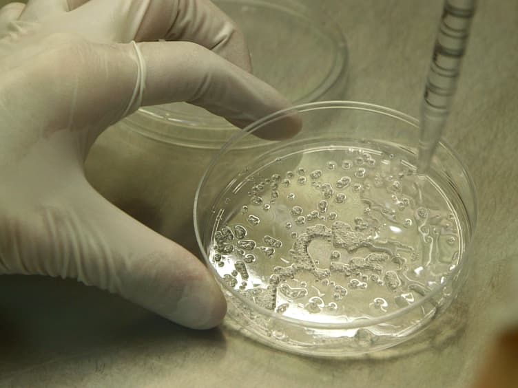 Alginate Encapsulation of Pluripotent Stem Cells Using a Co-axial Nozzle