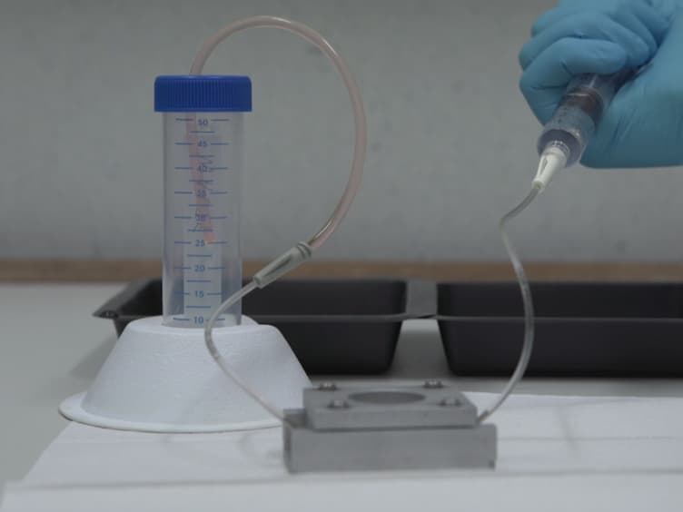 In Vitro and In Vivo Model to Study Bacterial Adhesion to the Vessel Wall Under Flow Conditions