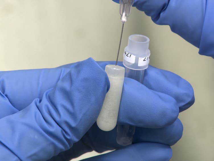 Implantation of Miniosmotic Pumps and Delivery of Tract Tracers to Study Brain Reorganization in Pathophysiological Conditions