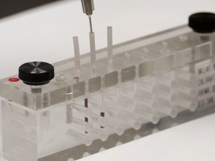 Cardiac Pressure-Volume Loop Analysis Using Conductance Catheters in Mice