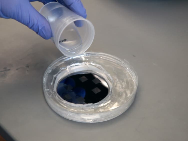 Microfluidic Genipin Deposition Technique for Extended Culture of Micropatterned Vascular Muscular Thin Films