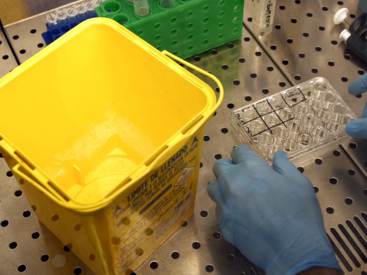 T Cells Capture Bacteria by Transinfection from Dendritic Cells