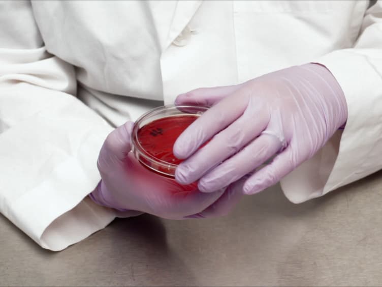 A Reference Broth Microdilution Method for Dalbavancin <em>In Vitro</em> Susceptibility Testing of Bacteria that Grow Aerobically