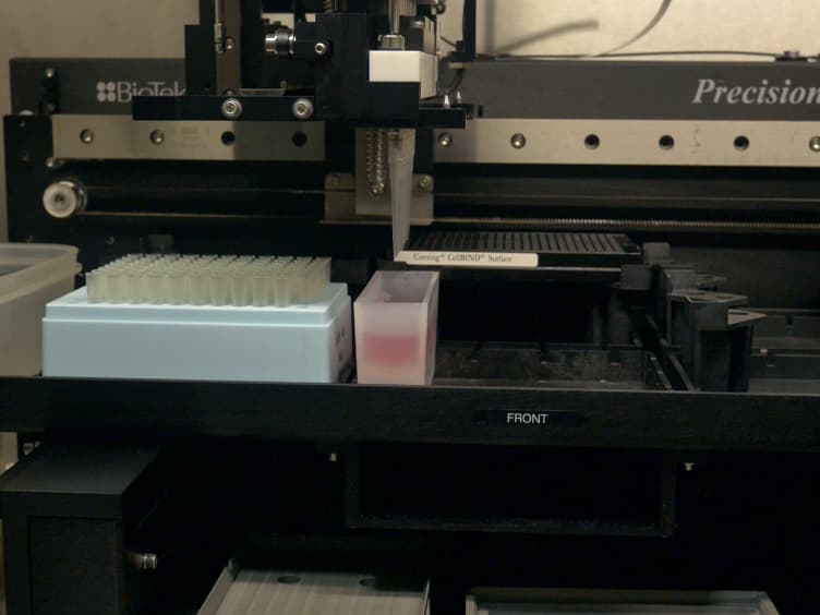 An Organotypic High Throughput System for Characterization of Drug Sensitivity of Primary Multiple Myeloma Cells