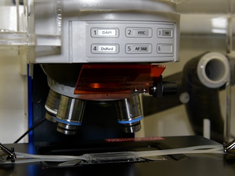 <em>In Situ</em> Mapping of the Mechanical Properties of Biofilms by Particle-tracking Microrheology