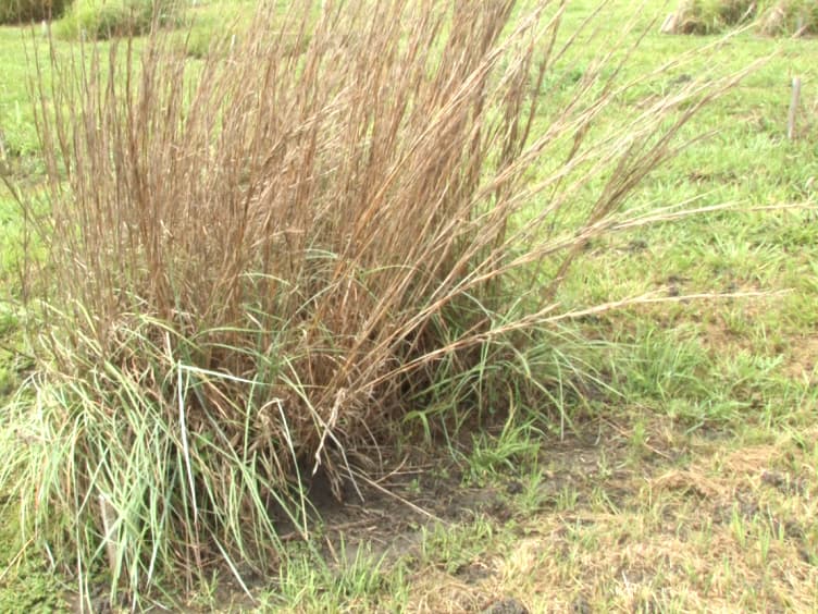 A CO2 Concentration Gradient Facility for Testing CO2 Enrichment and Soil Effects on Grassland Ecosystem Function