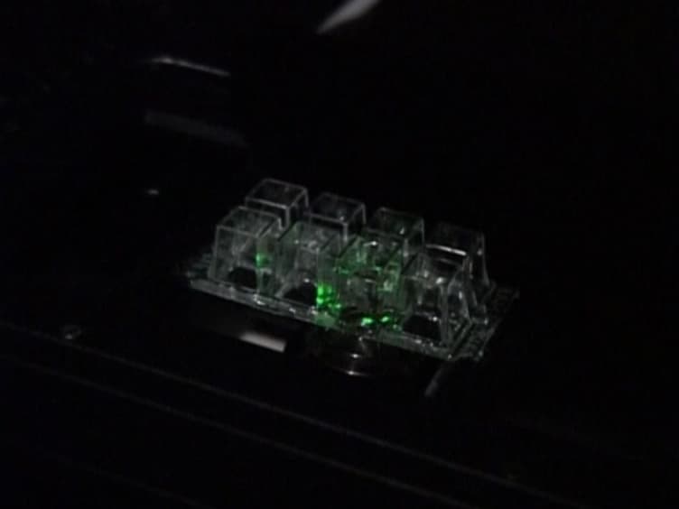 Measuring TCR-pMHC Binding <em>In Situ</em> using a FRET-based Microscopy Assay