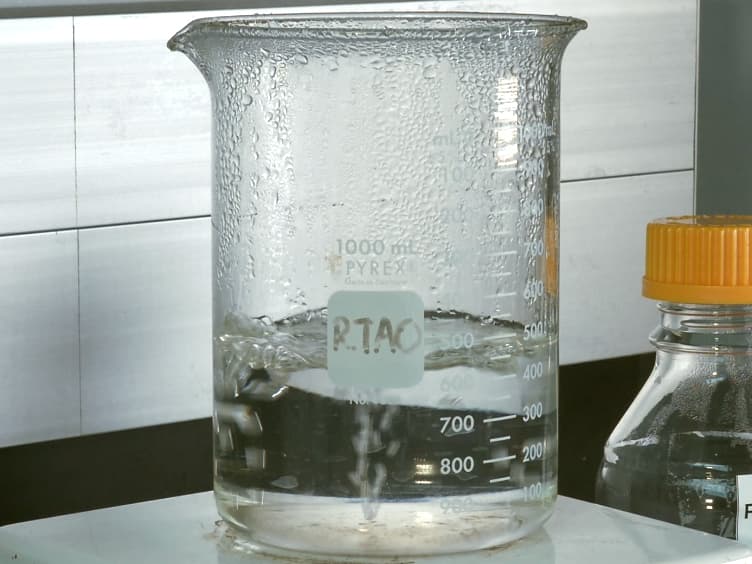 Rapid <em>In Situ</em> Hybridization using Oligonucleotide Probes on Paraformaldehyde-prefixed Brain of Rats with Serotonin Syndrome