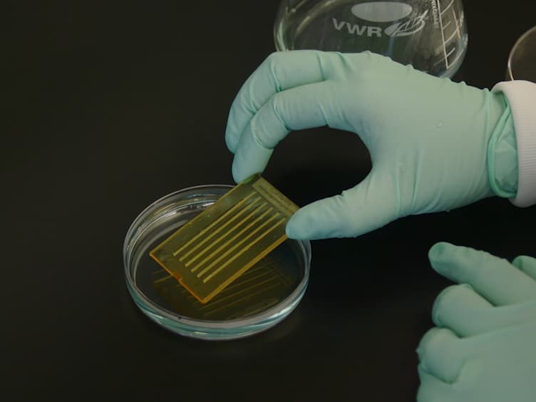 Analysis of Zebrafish Larvae Skeletal Muscle Integrity with Evans Blue Dye