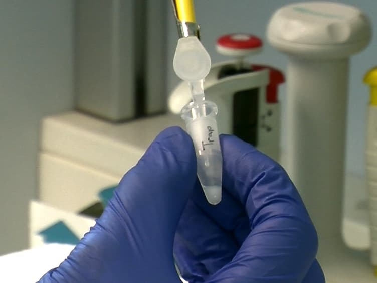 Comparing the Affinity of GTPase-binding Proteins using Competition Assays