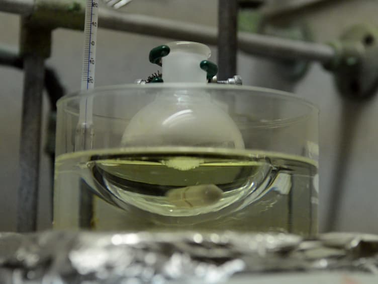 Synthesis, Characterization, and Functionalization of Hybrid Au/CdS and Au/ZnS Core/Shell Nanoparticles
