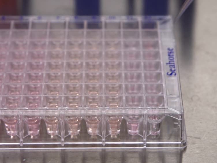 Metabolic Characterization of Polarized M1 and M2 Bone Marrow-derived Macrophages Using Real-time Extracellular Flux Analysis