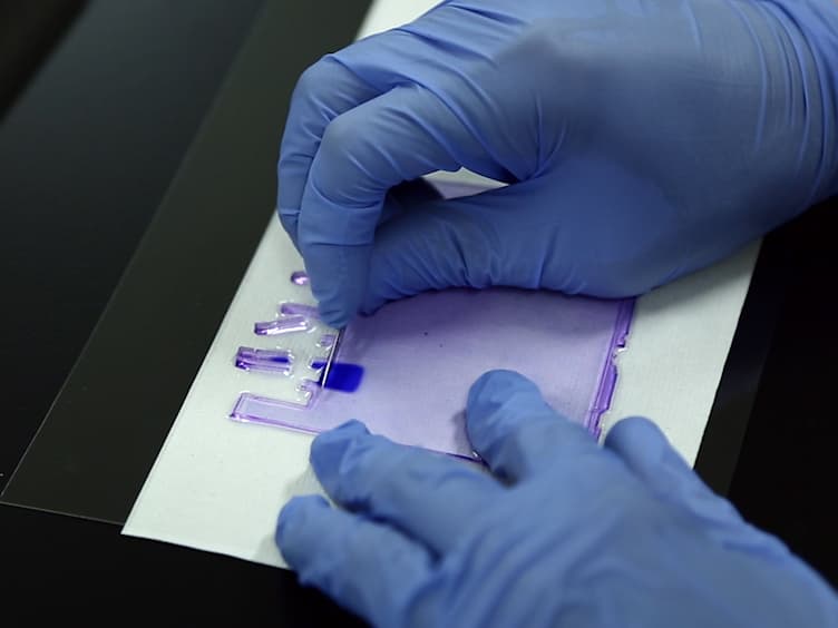 Isolation of Specific Genomic Regions and Identification of Associated Molecules by enChIP