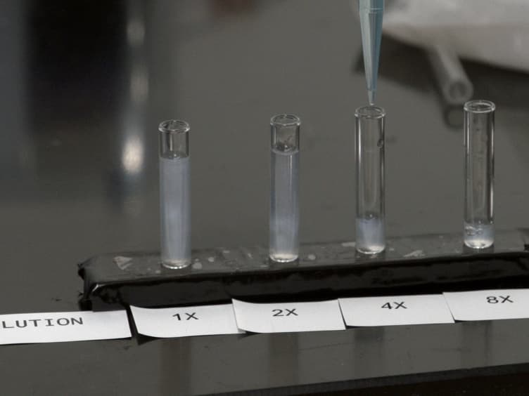 Synthesis and Exfoliation of Discotic Zirconium Phosphates to Obtain Colloidal Liquid Crystals