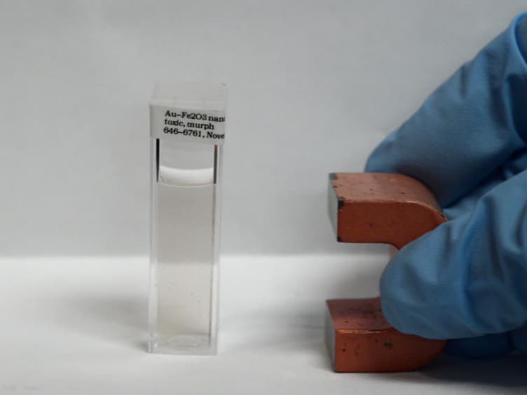 Multifunctional Hybrid Fe2O3-Au Nanoparticles for Efficient Plasmonic Heating
