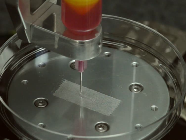 Bioprinting Cellularized Constructs Using a Tissue-specific Hydrogel Bioink