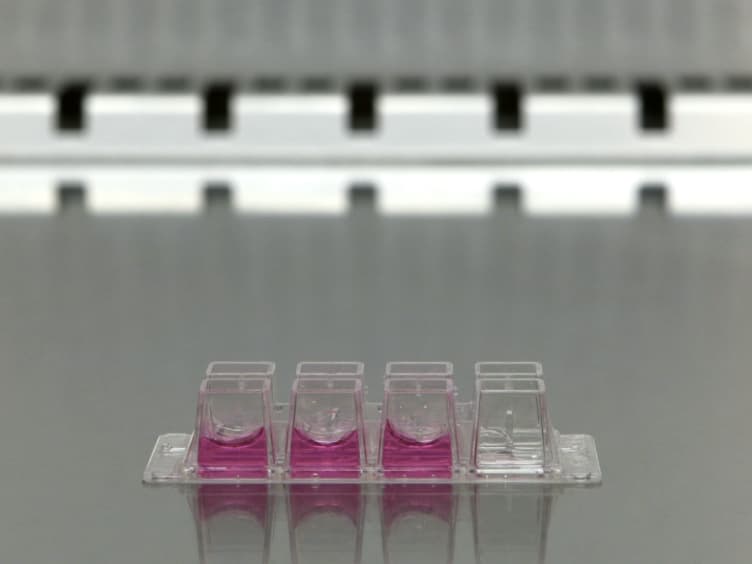 Real Time Monitoring of Intracellular Bile Acid Dynamics Using a Genetically Encoded FRET-based Bile Acid Sensor