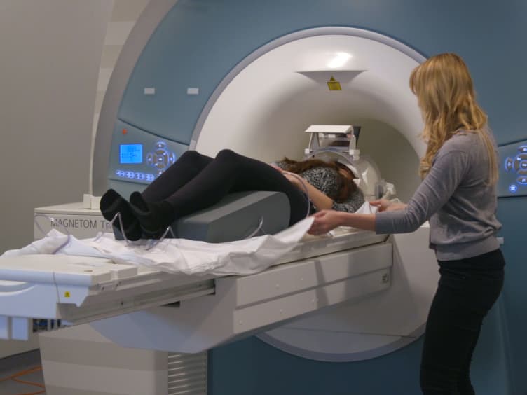 Measuring Connectivity in the Primary Visual Pathway in Human Albinism Using Diffusion Tensor Imaging and Tractography