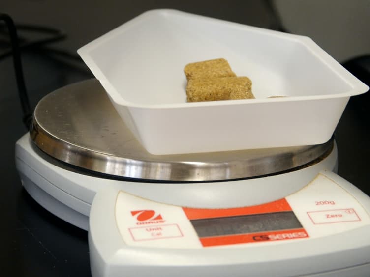 Utilizing an Orally Dissolving Strip for Pharmacological and Toxicological Studies: A Simple and Humane Alternative to Oral Gavage for Animals